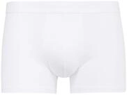 CALIDA Boxer Herren Boxershort 1er Pack Baumwolle (Packung, 1er Pack)