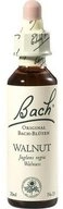 Bach Original Walnut f&uuml;r emotionale Balance und pers&ouml;nliches Wohlbefinden...