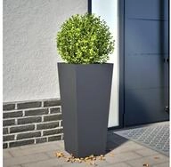 vidaXL Hochbeet vidaXL Pflanzk&uuml;bel Anthrazit 35x35x75 cm Stahl