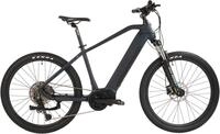 Adore E-Bike Mountainbike GX-650, 11 Gang Shimano Cues Schaltwerk, Kettenschaltung,