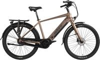 Adore E-Bike Cityrad CX-290, 8 Gang Shimano Nexus Schaltwerk, Nabenschaltung,