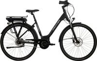 Panther E-Bike, 8 Gang Nabenschaltung 8-Gang Shimano Nexus Freilauf Disc,