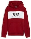 PUMA Kapuzenpullover Puma Jungen Kapuzenpullover SQUAD Hoodie FL B 682775