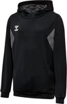 hummel Hoodie Hmlauthentic Pl Hoodie Kids