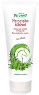 Bergland-Pharma GmbH & Co. KG K&ouml;rpercreme Pferdesalbe - k&uuml;hlend 100ml