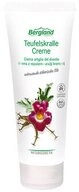 Bergland-Pharma GmbH & Co. KG Massage&ouml;l Teufelskralle - Creme 100ml
