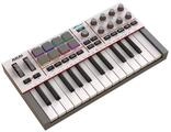 Akai Masterkeyboard Akai MPK Mini MK IV Gray