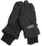 Mil-Tec Skihandschuhe Fingerhandschuhe Thinsulate gef&uuml;ttert Gef&uuml;ttert schwarz L
