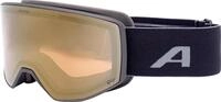 Alpina Sports Skibrille VENET QV black