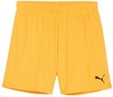 PUMA Sporthose PUMA teamGOAL Short Damen Shorts Damen