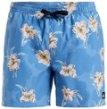 Quiksilver Boardshorts Everyday Straight 15"