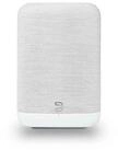 Bluesound Bluesound Pulse Flex Multiroom-Lautsprecher