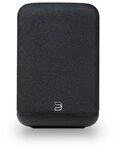 Bluesound PULSE FLEX BLACK P130 Bluetooth-Lautsprecher