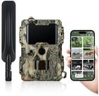 D&ouml;rr Wildkamera D&Ouml;RR Cloud Mini 4G/LTE &Uuml;berwachungskamera, Simlockfrei, 12MP, Full