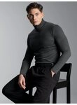 Trigema Rollkragenshirt TRIGEMA Rollkragenshirt (1-tlg)