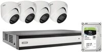 ABUS &Uuml;berwachungskamera ABUS TVVR33843D Kabelgebunden IP-&Uuml;berwachungs-Set...