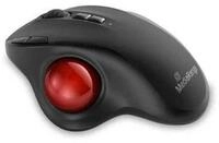 Mediarange MediaRange MROS263 Maus Haus rechts USB Typ-C Trackball 2400 DPI Maus