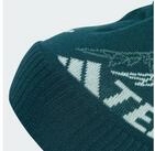 adidas TERREX Beanie TERREX XPLORIC BOMMELM&Uuml;TZE (1-St)