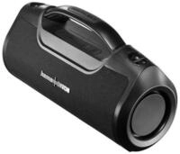 Hama Bluetooth-Lautsprecher 60W (App, Party Box wasserfest IPX6, PowerPack)
