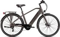 Hollandia E-Bike Urbanbike Mantova, 7 Gang Shimano Tourney Schaltwerk,