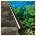 Europet-Bernina Aquarienr&uuml;ckwand Fotor&uuml;ckwand Meer und Gestein