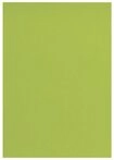 CLAIREFONTAINE Bastelkartonpapier Clairefontaine Tonpapier A4 lindgr&uuml;n 25Bg