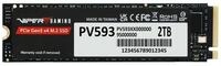 Patriot SSD-Festplatte