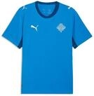 PUMA Trainingsshirt Island 2026 Heimtrikot Herren