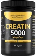 Creatin 5000 Mega Caps, workout booster, 5000 mg Monohydrat pro Tag Kapseln, 1 er 300