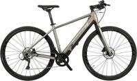 TOTEM E-Bike Urbanbike HWD, 9 Gang Shimano Sora Schaltwerk, Kettenschaltung,