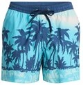 Quiksilver Boardshorts Everyday Printed Volley 15"