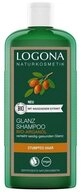 LOGONA Haarshampoo Argan&ouml;l - Glanz Shampoo 250ml