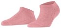 FALKE Sneakersocken Family Special Edition Sneakersocken (1-Paar)