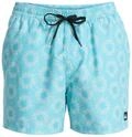 Quiksilver "Everyday Printed Volley 15"