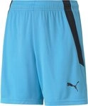 PUMA Sporthose TeamLIGA Shorts Jr