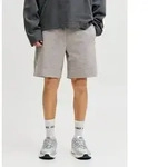 Jack & Jones Sweatshorts JPSTGORDON BASE SWEAT SHORTS SRT SN Materialmix mit Stretch,