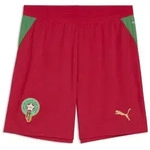 PUMA Sporthose Marokko Shorts Herren