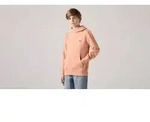 Levi's&reg; Kids Hoodie LVB MINI BATWING PULL OVER HOO for BOYS