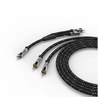 AVINITY Audio-Kabel