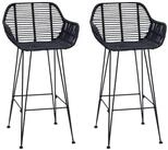 vidaXL Barhocker Barstuhl 2 pcs 55 x 52 x 92 cm Rattan und Eisen (2 St)