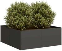 vidaXL Pflanzk&uuml;bel 80 x 80 x 30 cm Pflanzk&uuml;bel Blumenk&uuml;bel Pflanzcontainer