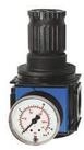 RIEGLER Druckregler Riegler Druckregler, durchg. Druckvers. &raquo;variobloc&laquo;, BG...
