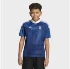 adidas Performance Fu&szlig;balltrikot GRIECHENLAND 26 KIDS AUSW&Auml;RTSTRIKOT (1-tlg)