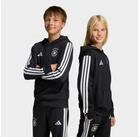 adidas Performance Sweatshirt DFB KIDS HD
