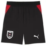 PUMA Sporthose &Ouml;sterreich 2026 Shorts Herren