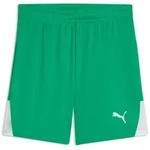 PUMA Trainingsshorts Puma Kinder Short teamLIGA26 Shorts 706555 gr&uuml;n 116