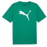PUMA Fu&szlig;balltrikot TEAMRISE LOGO JERSEY COTTON f&uuml;r Fu&szlig;ball, Kurzarm, sportlicher