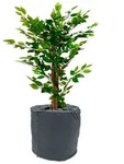 Spetebo &Uuml;bertopf Thermo Topfschutz f&uuml;r Pflanzen - 50 x 70 cm grau &Oslash; 50 cm x...
