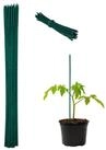 relaxdays Rankhilfe 100x Gr&uuml;ner Pflanzenstab 60 cm