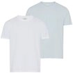 Calvin Klein T-Shirt 2 Pack SS STRETCH COTTON SLIM TEE (Packung, 2-tlg)